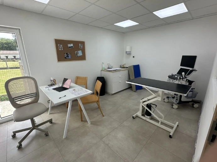 Salle de consultation avec échocardiographe – Cabinet vétérinaire Palina Salle de consultation du cabinet vétérinaire Palina avec échocardiographe et équipements médicaux pour les examens, soins et diagnostics des chiens, chats et animaux de compagnie.